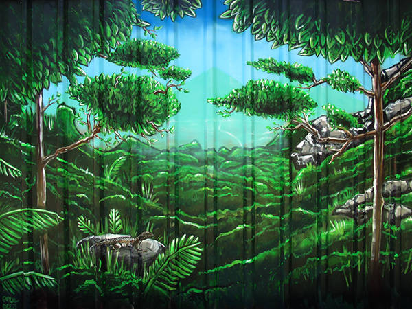 后院里的熱帶雨林:手繪墻壁畫打造庭院空間